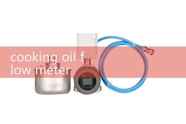 cooking oil flow meter