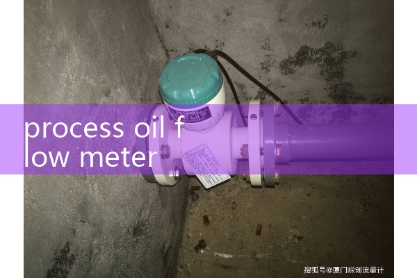 process oil flow meter