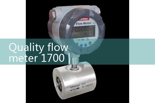 Mass flow meter 1700