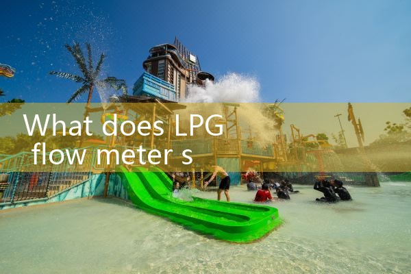LPG flow meter supplier|digital flow meter