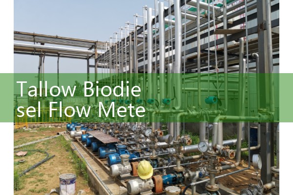 Tallow Biodiesel Flow Meter Mass Flow Sizing Verification