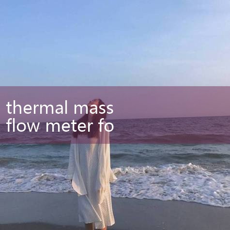 Insertion Thermal Mass Flow Meter for Boiler & Heater Efficiency Optimized natural and propane measu|turbine flow meter