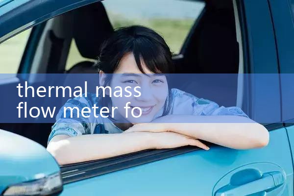 thermal mass flow meter for ammonia gas|turbine flow meter
