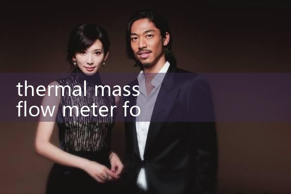 thermal mass flow meter for inert gas|turbine flow meter