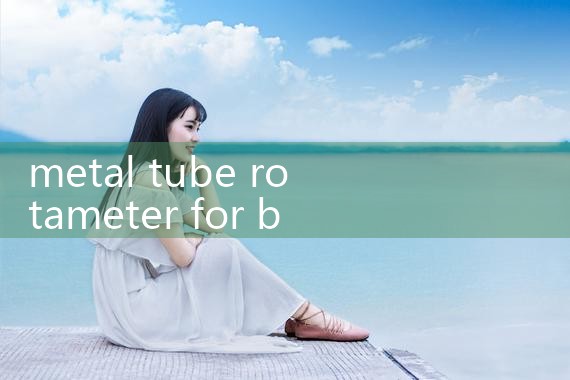 metal tube rotameter for boiler|turbine flow meter