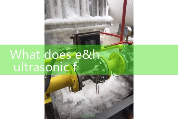 e&h ultrasonic flow meter