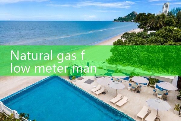 natural gas flow meter manufacturer|digital flow meter