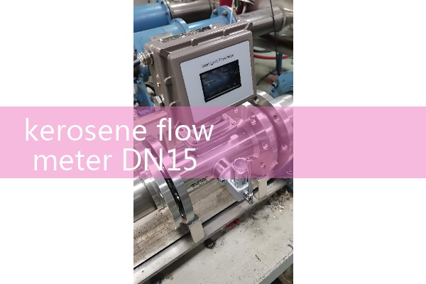 kerosene flow meter DN15
