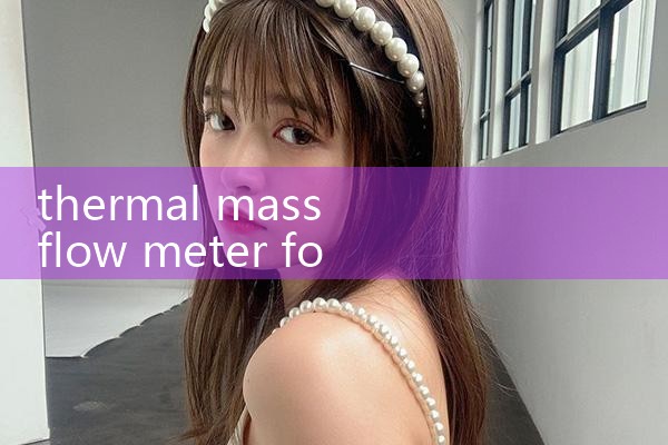 thermal mass flow meter for boiler|turbine flow meter