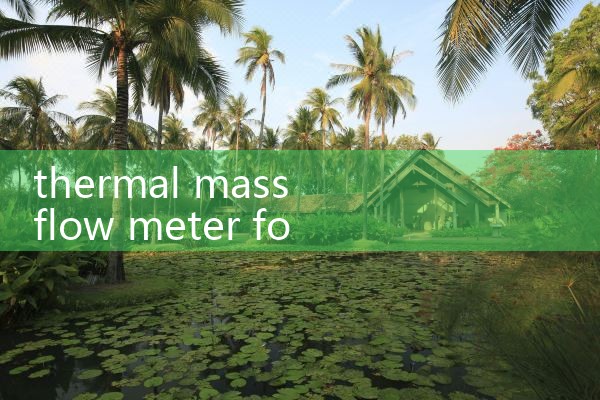 thermal mass flow meter for landfill gas|turbine flow meter