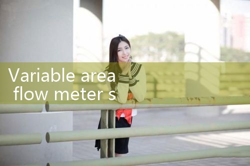 variable area flow meter stainless steel|turbine flow meter