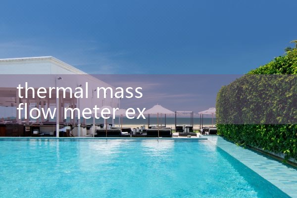 thermal mass flow meter explosion proof|turbine flow meter