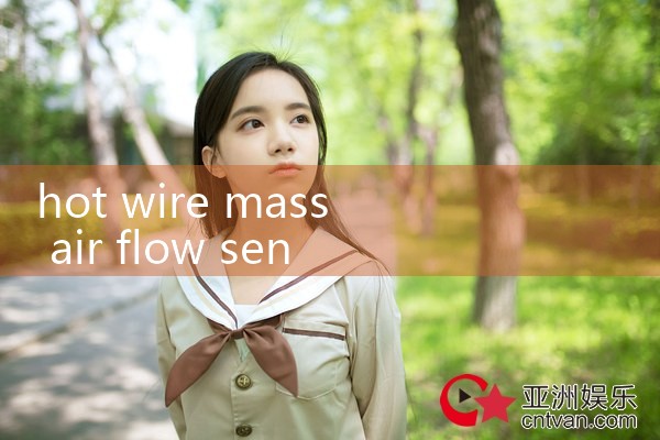 hot wire mass air flow sensor|turbine flow meter