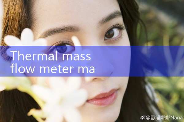 thermal mass flow meter mass flow rate|turbine flow meter