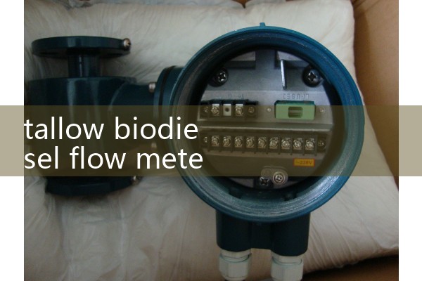 tallow biodiesel flow meter