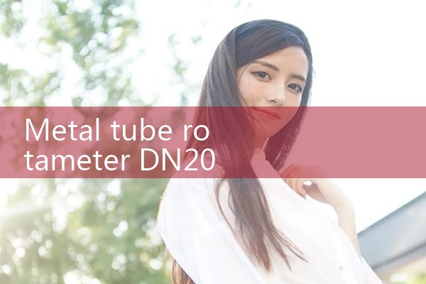 metal tube rotameter DN20|turbine flow meter