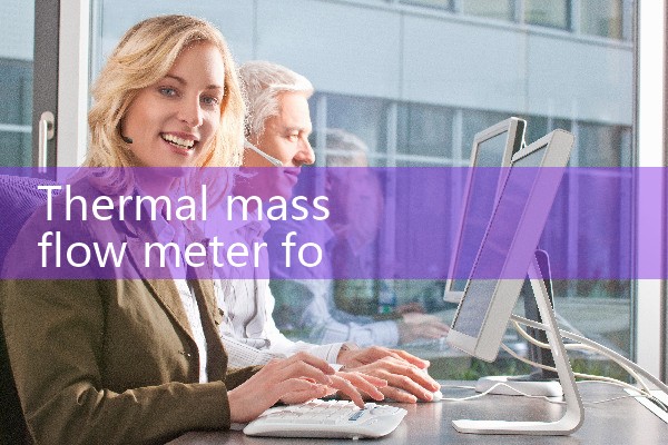 thermal mass flow meter for chlorine gas|turbine flow meter