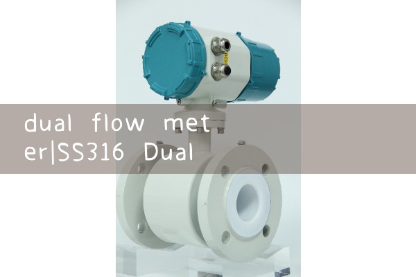 dual flow meter|heat flow meter