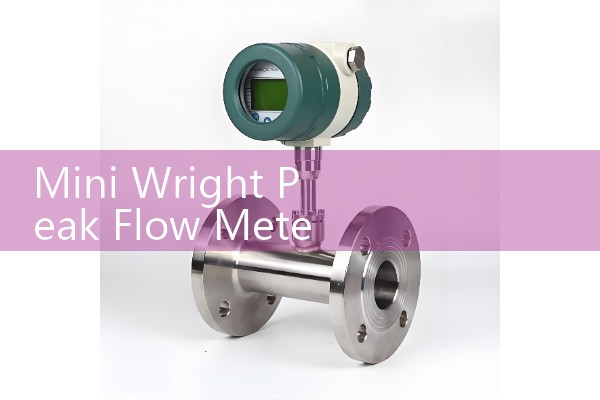 Mini Wright Peak Flow Meter: Standard Expiratory Asthma Testing Devices