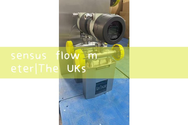 sensus flow meter|heat flow meter